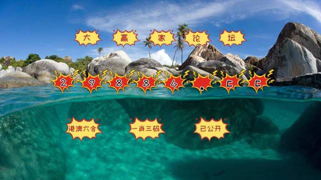 新澳门天天免费精准与7777788888精准免费4肖,精选解析、解释与落实